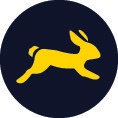 Symbol 4