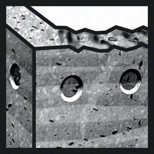 Symbol 13