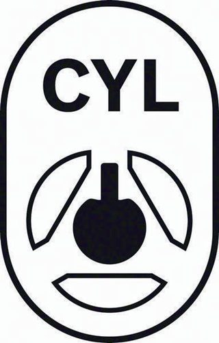 Symbol 13
