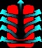 Symbol 18