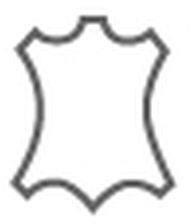 Symbol 2