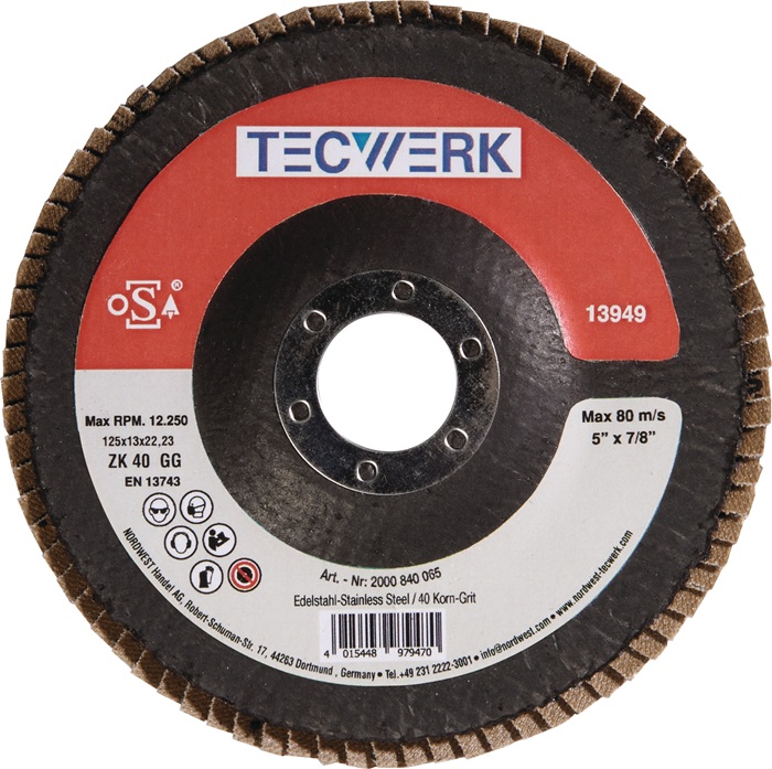 Disque à lamelles TECWERK D. 125 mm granulation 40 conique