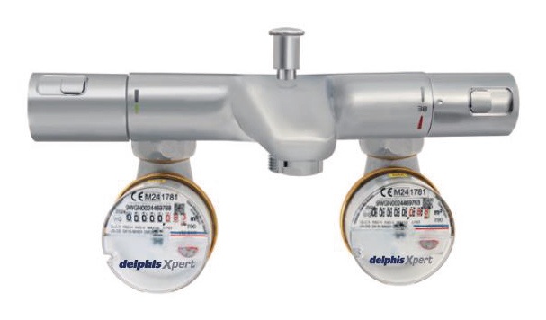 delphisXpert Badewannenzähler Two in One, 1,5 m3/h