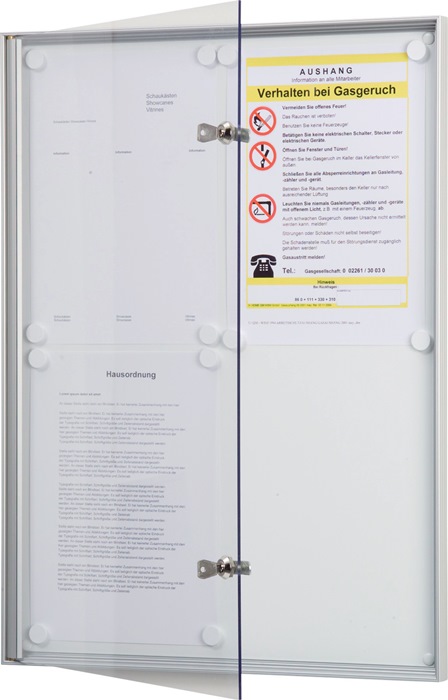 Flachschaukasten 4xDIN A4 B480xH650mm Ganzglas-Tür f.Innenber.WSM - 1